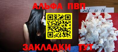 тгк Кингисепп