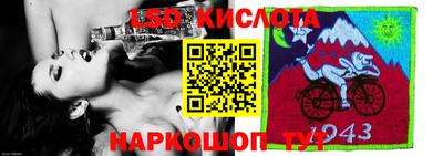 тгк Кингисепп