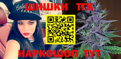 тгк Кингисепп
