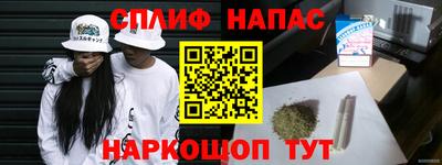 тгк Кингисепп