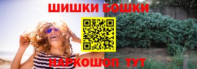 тгк Кингисепп