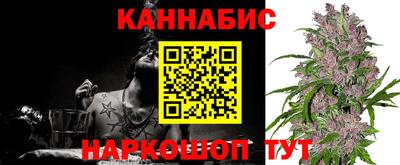 тгк Кингисепп