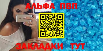 тгк Кингисепп